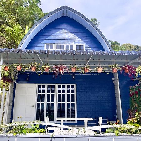 Blue Cabins By Pfordten Cottage Κάμερον Χάιλαντς Εξωτερικό φωτογραφία