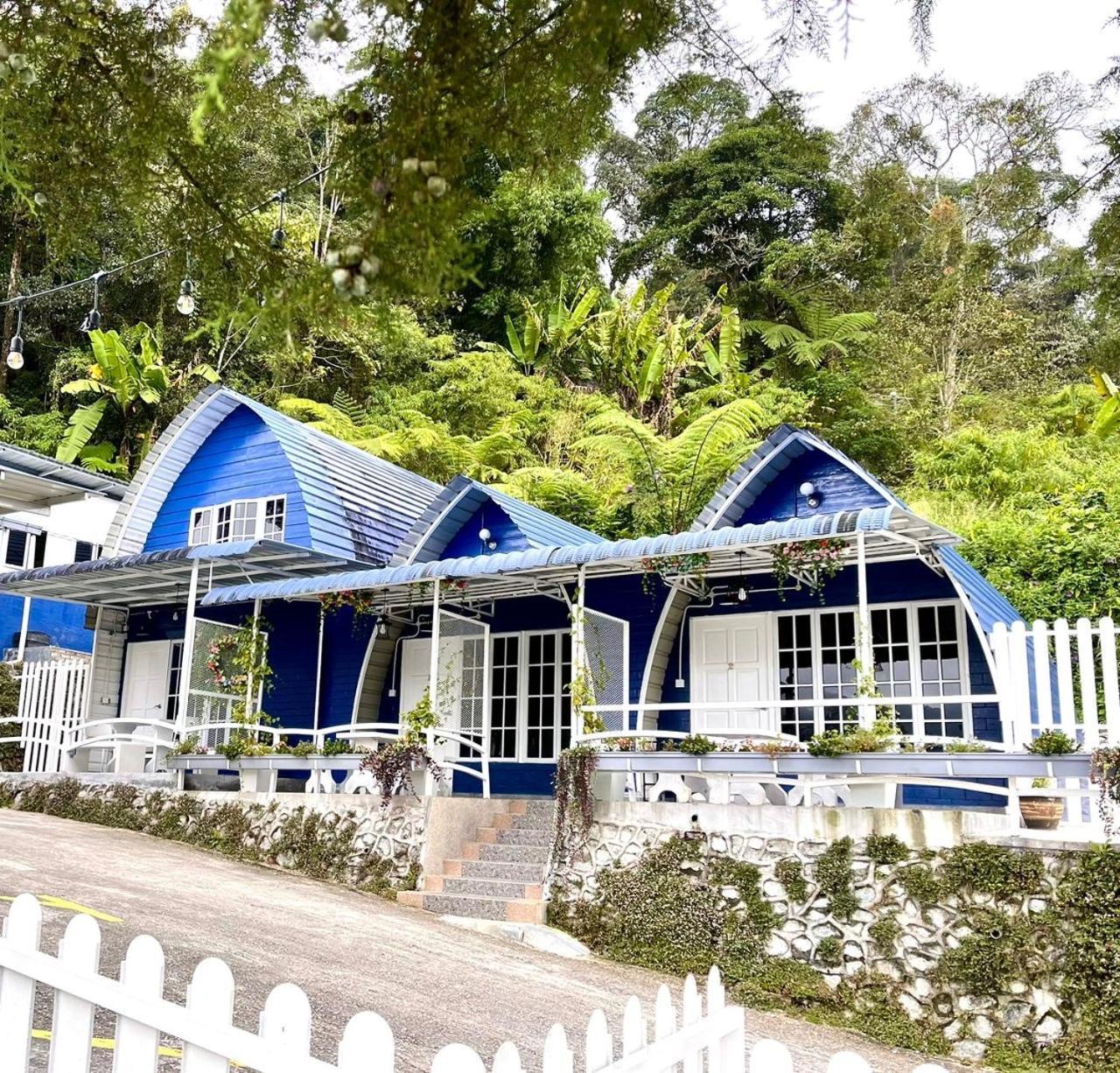 Blue Cabins By Pfordten Cottage Κάμερον Χάιλαντς Εξωτερικό φωτογραφία