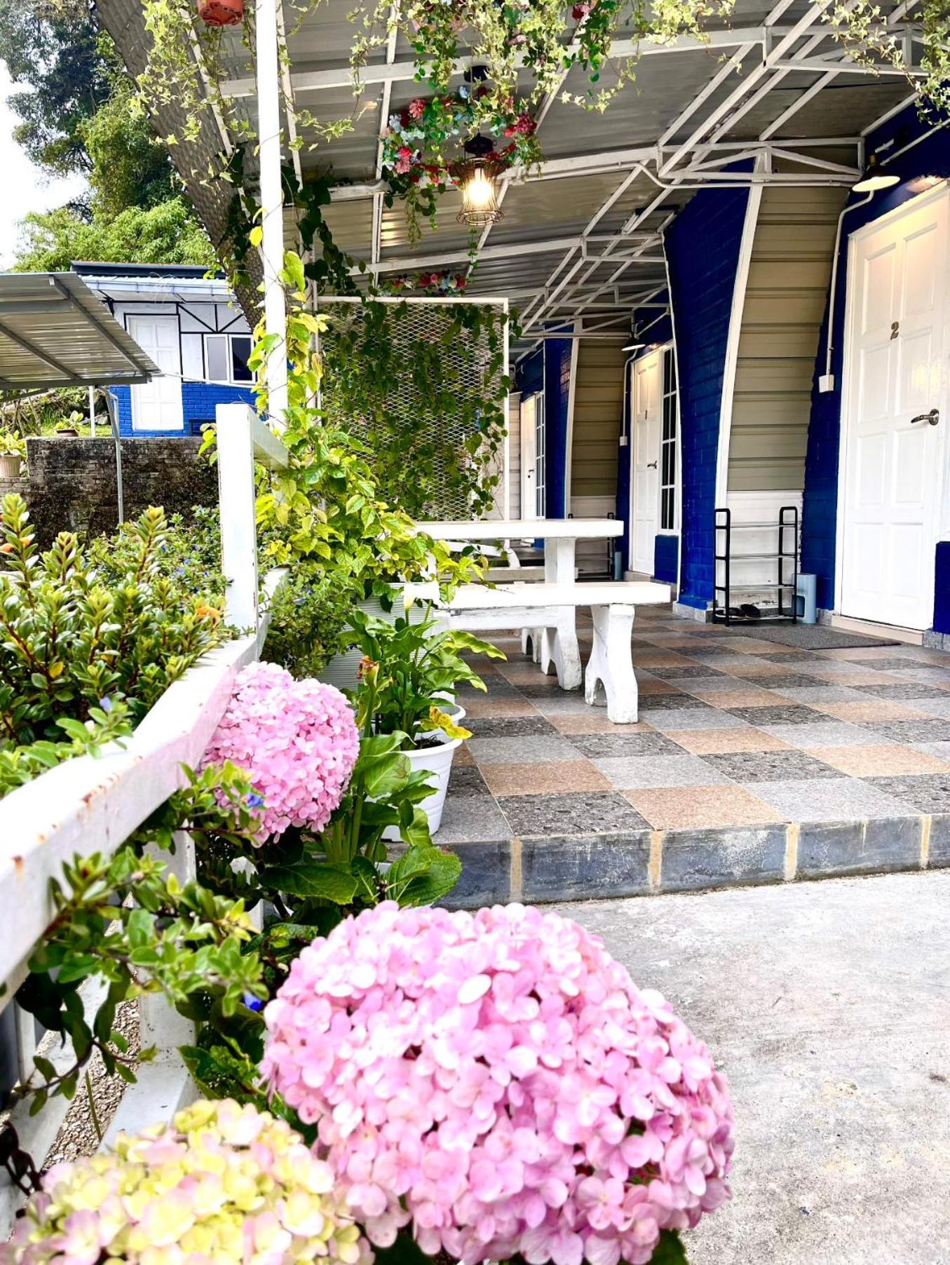 Blue Cabins By Pfordten Cottage Κάμερον Χάιλαντς Εξωτερικό φωτογραφία