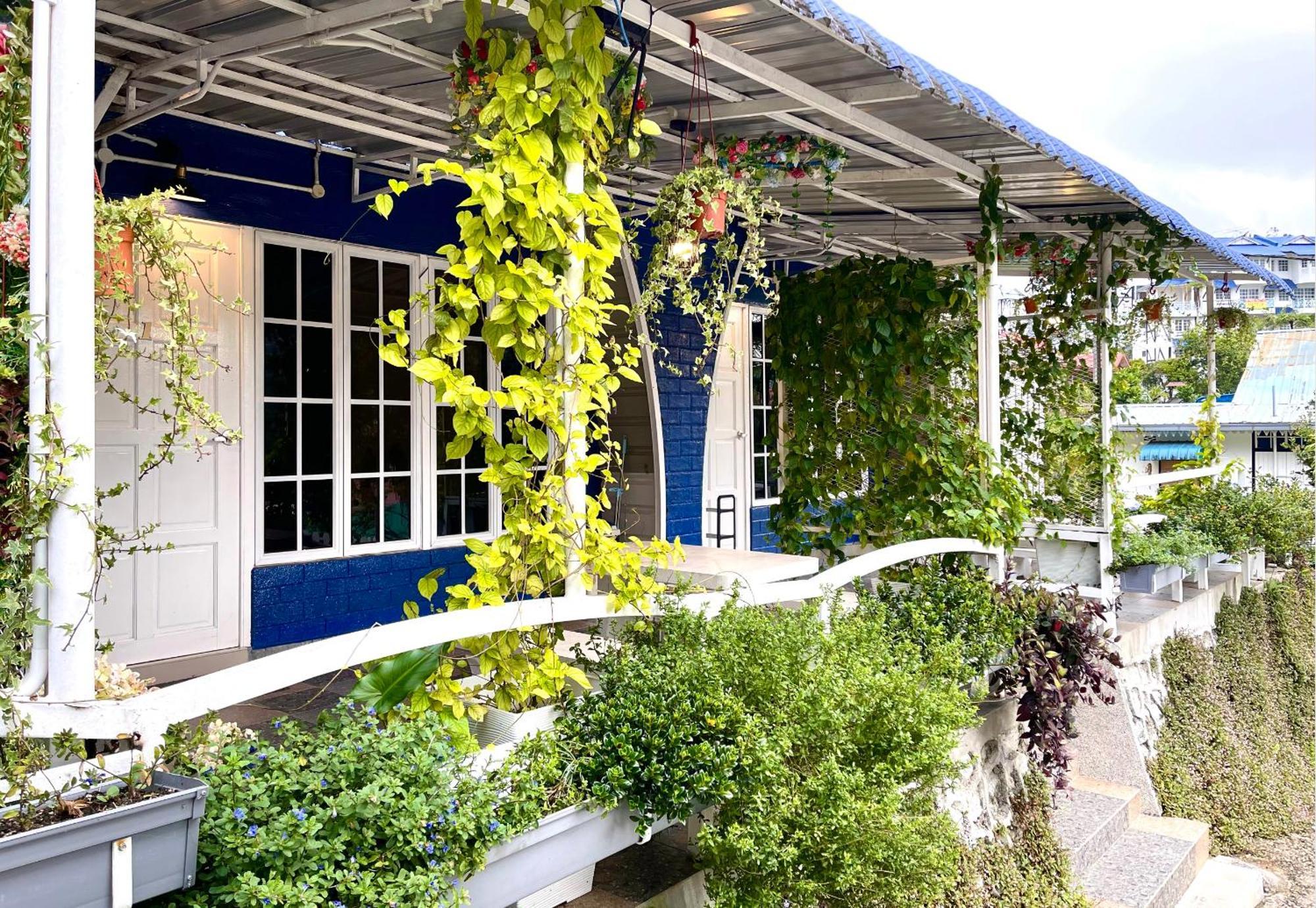 Blue Cabins By Pfordten Cottage Κάμερον Χάιλαντς Εξωτερικό φωτογραφία